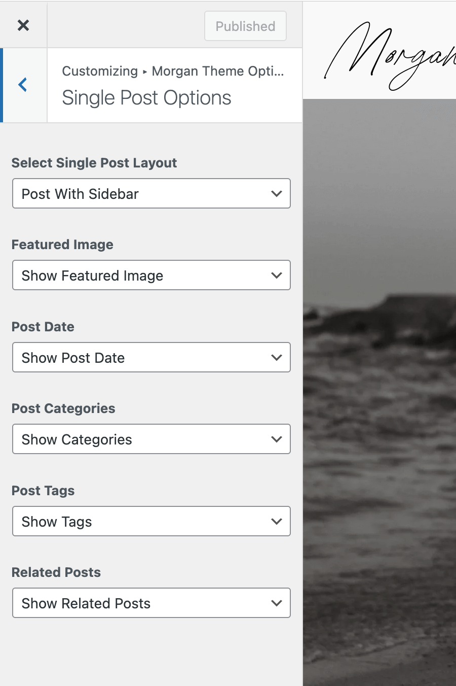 External Post Options Morgan Theme Documentation